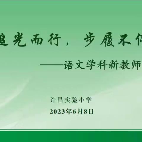 追光而行，步履不停——语文学科新教师学习交流