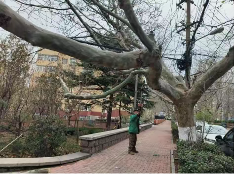 我为群众办实事——解决道路隐患  保障行人安全