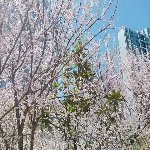 宜化新天地客服中心服务周报