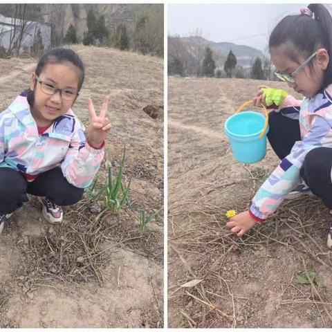 春天的足迹—庙湾小学一年级一班刘佳怡