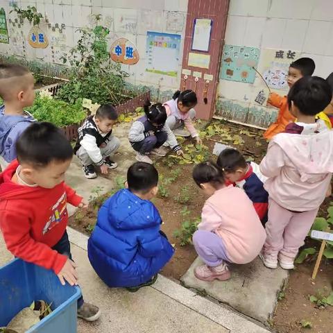 “万物可爱，不负美好”——湛江军分区幼儿园中班