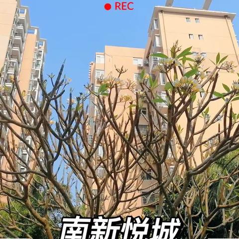 申迪物业3月份工作汇报