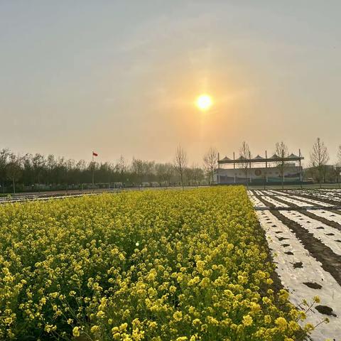 【春满校园惹人醉】 今天  我把博小的春天寄给您