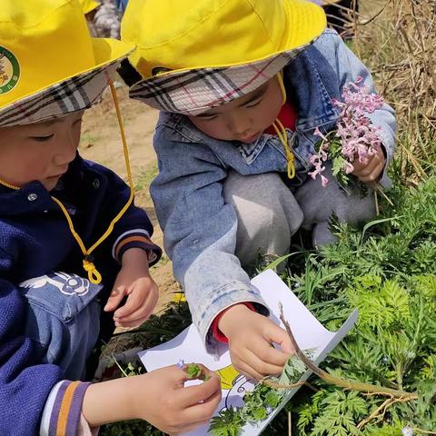 【爱❤️与美好，共同绽放💞】——仙龙幼儿园中一班3月份精彩剪辑