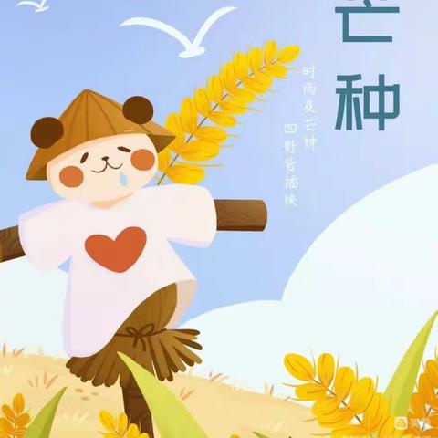 芒种芒种，幸福播种🌾——三门峡市第二实验幼儿园幼儿园虢中四班二十四节气“芒种”主题活动