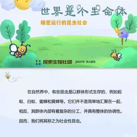 钢三小学探索生物社团课