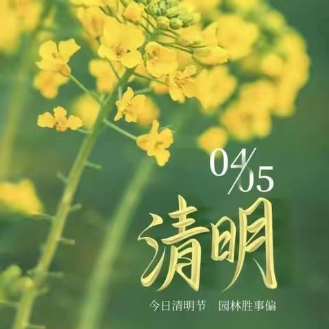 清明节