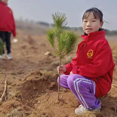 拥抱春天，与绿色同行——四年级12班植树节美篇