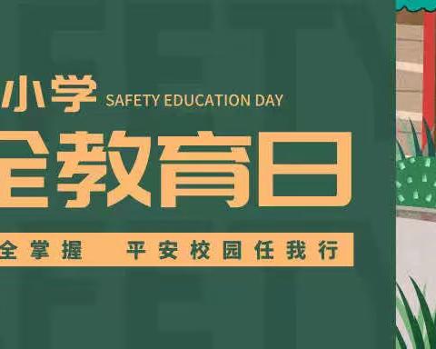 赵渡镇雨林小学安全教育日系列宣传——交通安全宣传