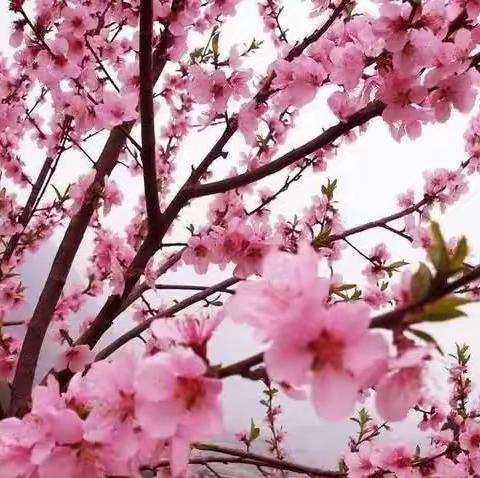 温馨宿舍我们的家园