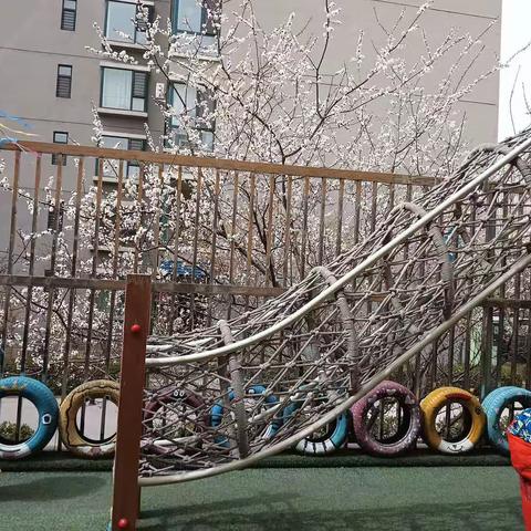 人之初幼儿园保育老师一周生活