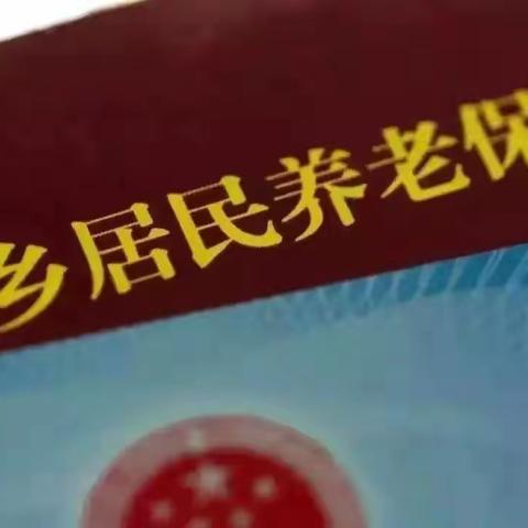 子长市2023年度城乡居民养老保险开始缴费啦！