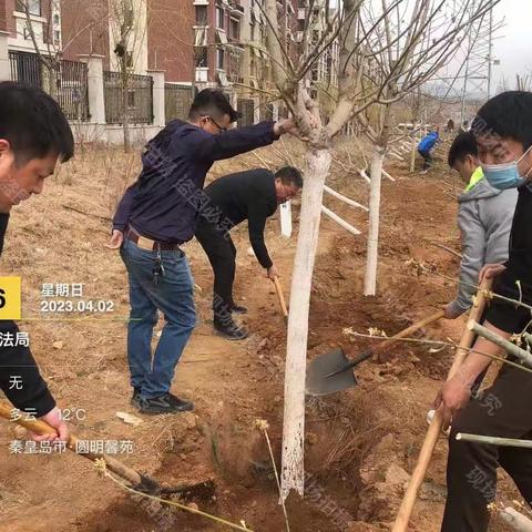 植树造林绘就绿色生态美丽画卷——海港区司法局开展义务植树活动