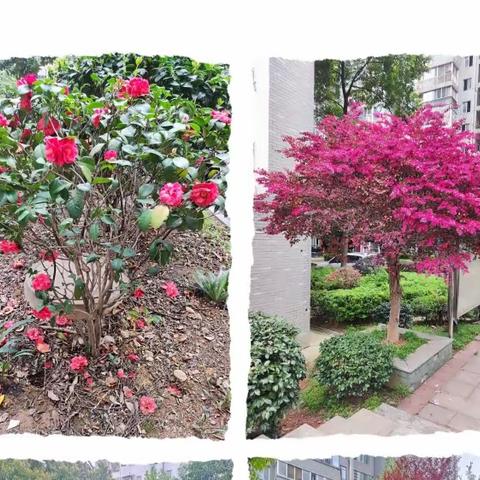 🌻华庭物业银色现代城2023年3月份工作简报