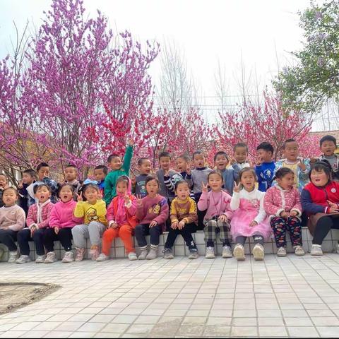 营丘镇阿陀幼儿园——中一班春季赏花篇🌸