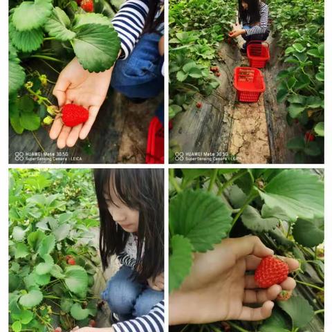 周末到！快乐到！——蒲东街道实验小学四五班