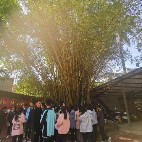 市级规划课题-《基于高中地理必修教材的地理实践力开发与应用》-《植被》一节地理实践力开发