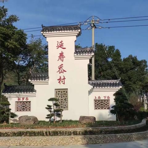 小小网格员