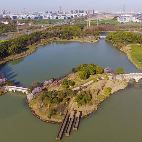 昆山市老干部摄协赴花桥开发区采风