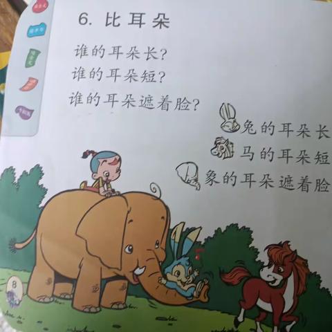 西桥幼儿园中班4月教学内容