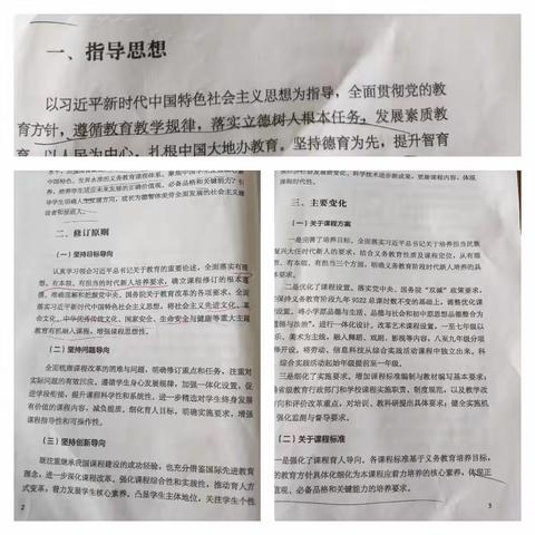 从课程标准到学科教育