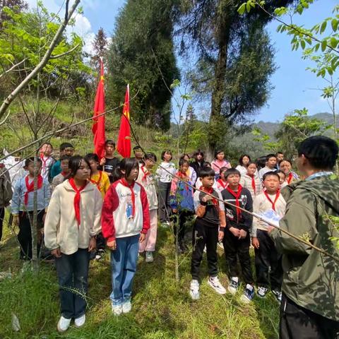 【党建引领】传承红色基因，清明祭英烈——记四都坪乡中心学校清明系列活动