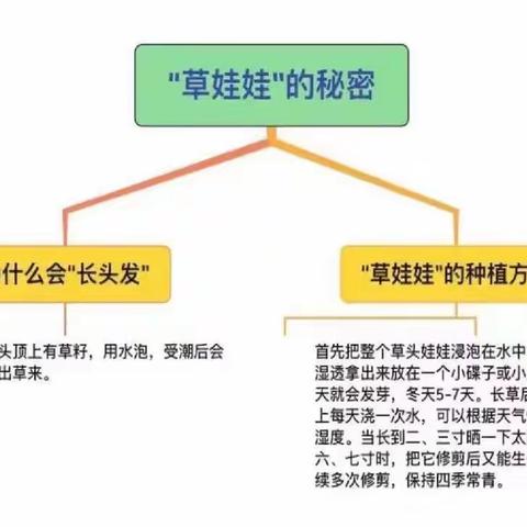 玩德福幼儿园中二班班本课程——《草精灵的理发店》