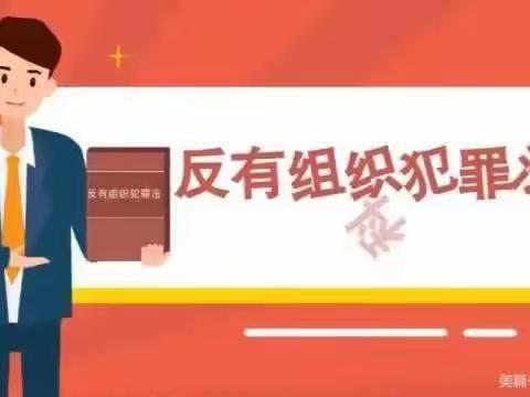 【全环境立德树人】宿安乡旭升小学《反有组织犯罪法》普法宣传