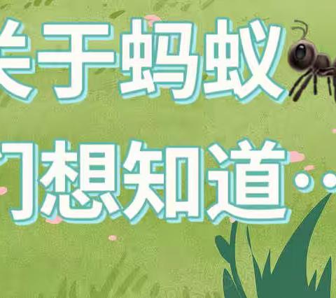 蚂蚁🐜趣事