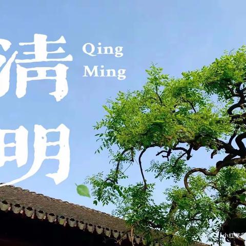 “传承优良家风，争做时代新人”——忻州师范学院附属中学初 12 班周可芯 2023 年清明实践活动小记