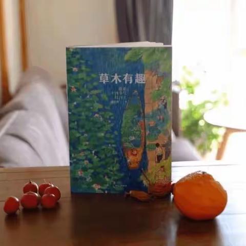 “草木有趣”跟着二十四节气过日子———新世纪小学暑期学生绘画及教师阅读分享