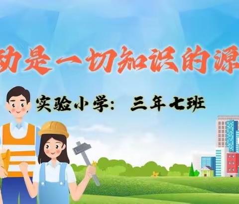 【劳动实小】“劳动是一切知识的源泉。”实验小学三年七班社会实践活动
