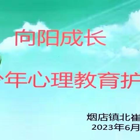 “向阳成长”青少年心理教育护航行动——烟店镇北崔小学