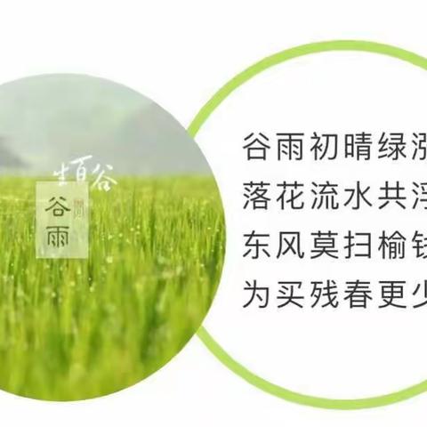 好雨生百谷 暮春缓缓至——二十四节气之谷雨