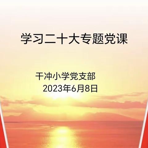 赓续伟大历程  奋进时代征程——洋浦干冲小学党支部开展学习党的二十大专题党课活动