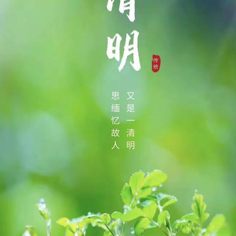 清明话传承 文化润童心——白银纳中心校清明活动