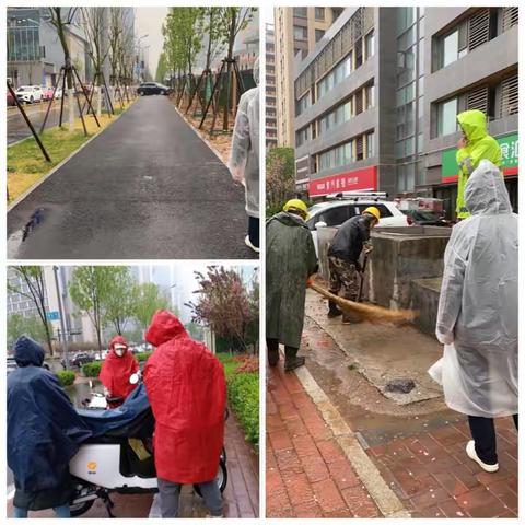 齐音北社区创城风雨不停歇