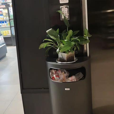 精肉课高春歌的美篇