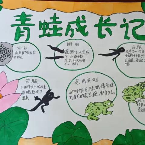 用心观察，细心发现—&lt;小蝌蚪找妈妈&gt;特色作业