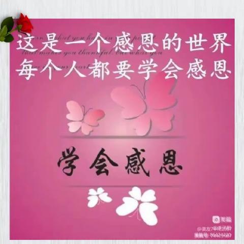学会感恩，与爱同行。