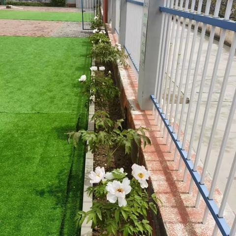 东西岭小学“防灾减灾”主题活动