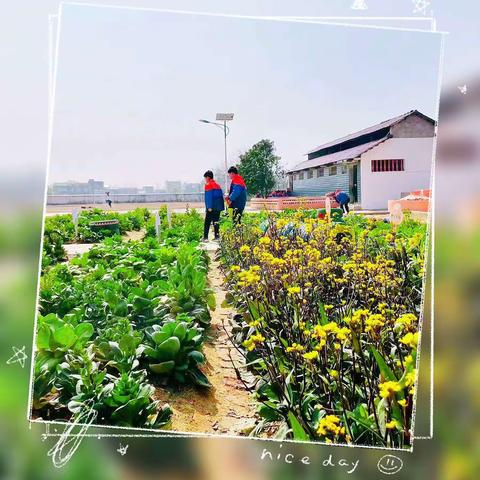 春日来信：仲夏你好——蕲春县第二实验小学教联体（彭思校区）开展劳动基地实践教育活动