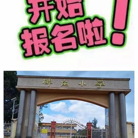 倘甸镇碑庄小学2023年招生简章