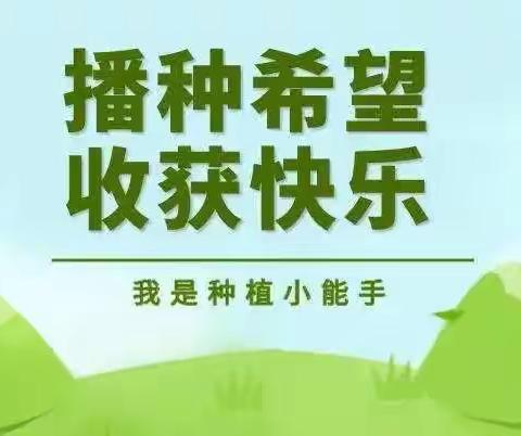 “一粒种子，一片春天”共青团路幼儿园蔬菜种植记