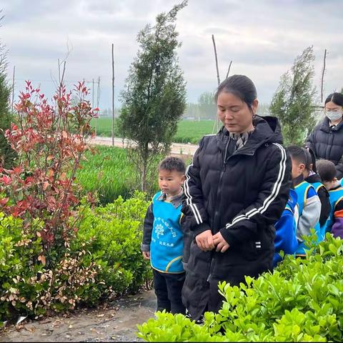 清明节我们在行动——中和镇中心幼儿园二十四节气系列活动之清明