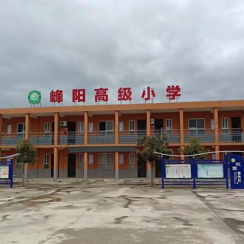 阅读伴我成长，一起向未来——峰阳高级小学“双减”下阅读活动展示