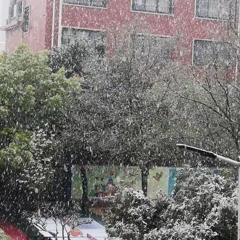 春天的雪