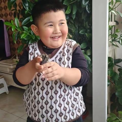 初心见证成长,相伴成就未来——泰林青葵幼儿园大二班张博益