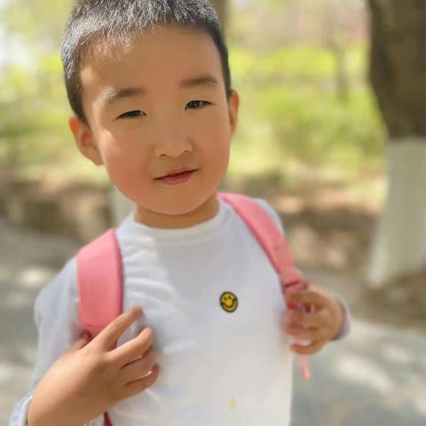 初心见证成长,相伴成就未来——泰林青葵幼儿园大二班董聿柏