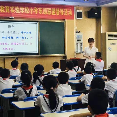 青衿之志，履践致远——开发区中心小学优秀班主任童心